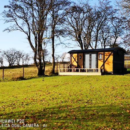 Вилла Pen-Rhos Luxury Glamping "Cuckoo'S Nest" Лландриндод-Уэлс Экстерьер фото