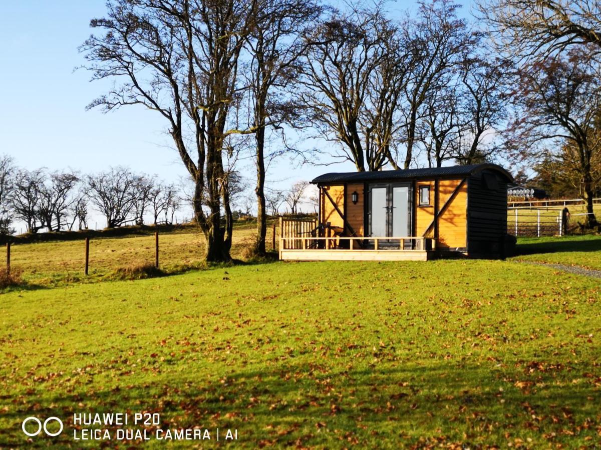 Вилла Pen-Rhos Luxury Glamping "Cuckoo'S Nest" Лландриндод-Уэлс Экстерьер фото